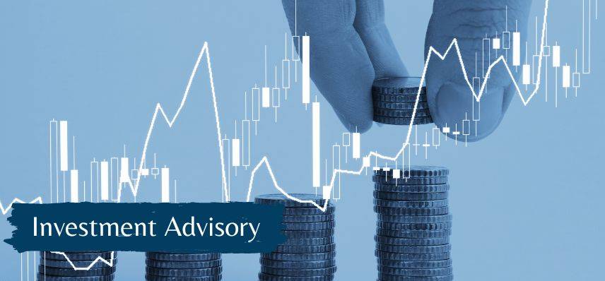 INVESTMENTS ADVISORY