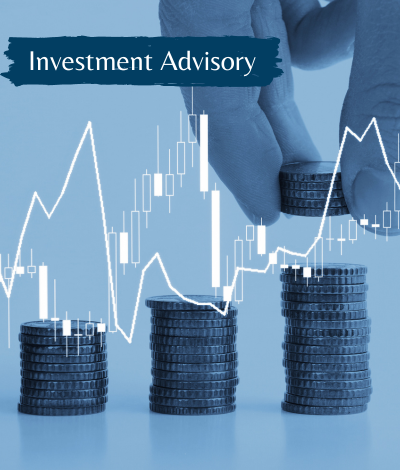 INVESTMENTS ADVISORY