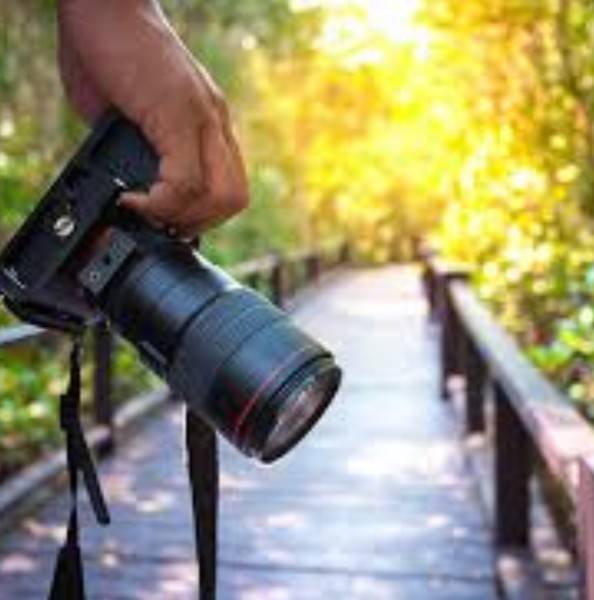 Professional Photography