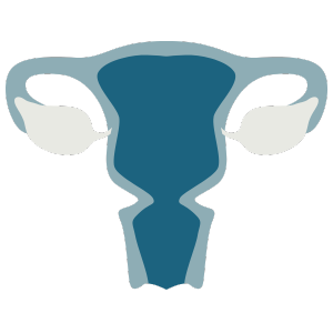 Gynecological Cancer Screening